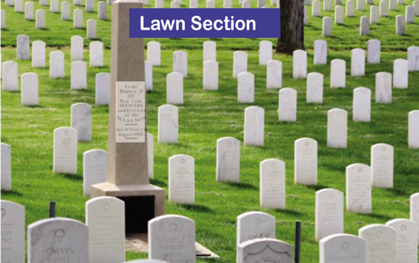 Lawn Section